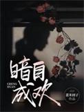 暗自jie