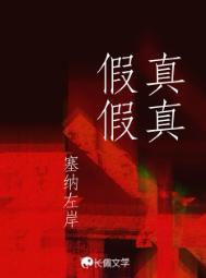 真真假假txt