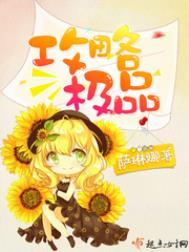 攻略极品第28章