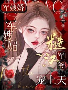 军嫂全集
