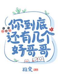 你到底有几个好哥哥是什么歌