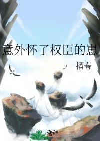 意外怀了权臣的崽by榴春