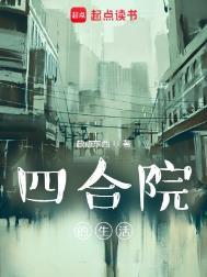 四合院的样子是什么