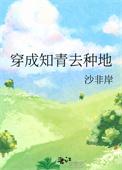 穿成知青嫁给农家汉