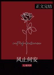 风止何安下一句是什么