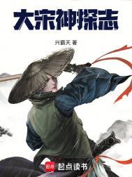 大宋神探志全本网