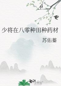 少将在八零做药农免费阅读
