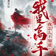 我是高手怎么玩