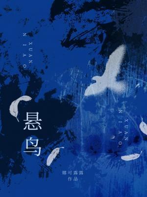 悬鸟by娜可露露好看吗