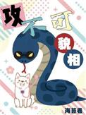 不可貌相什么意思