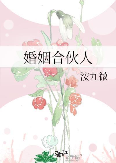 婚姻合伙人18