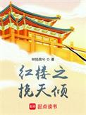 红楼之挽天倾 加料