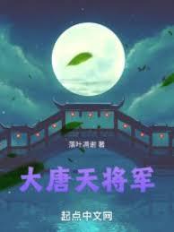 大唐天城