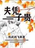 夫凭子贵by凤武鸿飞txt