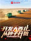 开发大西北的意思