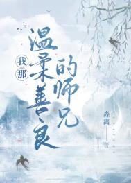 我那温柔贤良的大姐txt