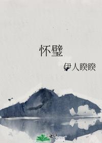 怀璧伊人睽睽txt