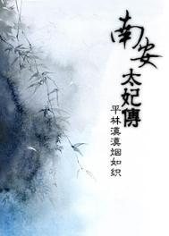 南安太妃传评论