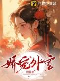 娇宠外室鸾镜作者鸾镜推荐