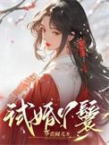试婚丫鬟锦鸢赵非荀