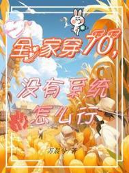 没有系统怎么行番外