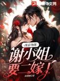 沈总勿扰谢二小姐二嫁了