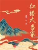 红楼大当家在线阅读