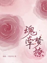 魂牵梦萦是什么
