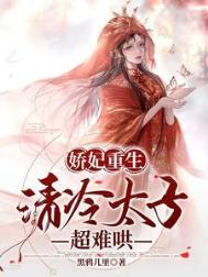 清穿太子妃娇娇h