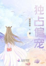 独占偏宠 原著