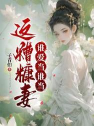 那是糟糠之妻什么意思