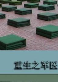 重生之军医烤土豆番外