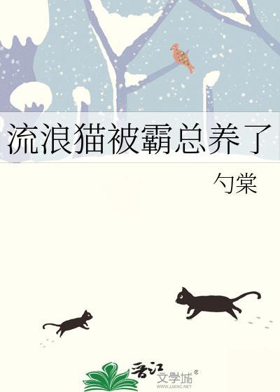 流浪猫被收养后能活多久