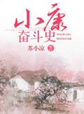 小康的奋斗目标是什么时候提出的