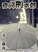 什么夜行刑侦剧