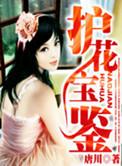 护花宝鉴烂尾原因