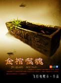 免费观看金棺陵兽