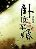 卧底军婚腹黑军长太惹人