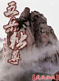 五岳独尊石