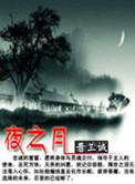 夜之月美