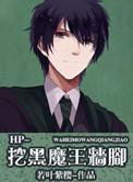 hp挖黑魔王的墙角