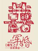 重生之军婚(雾惘)