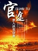 官途权力巅峰陆皓在线阅读