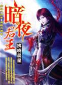 暗夜君王陈浩正版阅读