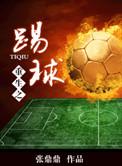 重生之踢球 张鼎鼎