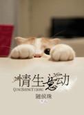情生意动晋江