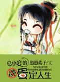 小妾的淡定人生txt