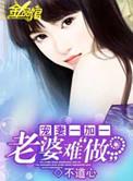 宠妻一加一类似的