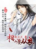 相公从了本帅TXT