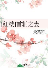 红楼之首辅家的小